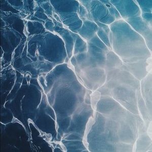 Meet your Posher, Harley